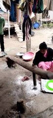 Assamese Traditional Food making
