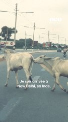 Anne-France nous raconte son tour du monde à moto seule, en 1973