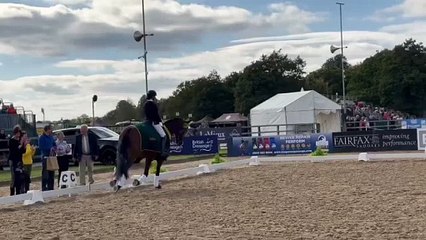 Bryony Goodwin does the double and wins the TopSpec Medium Gold, riding Dion II