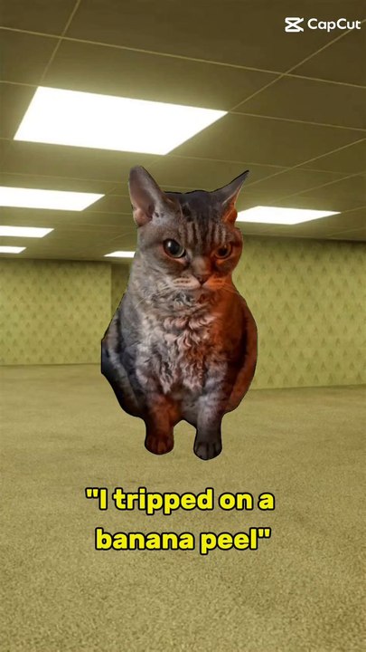 "It was an accident"