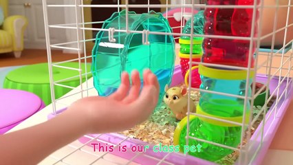 Class Pet Sleepover _ CoComelon Nursery Rhymes & Kids Songs