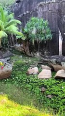 مليونير يهدي زوجته جزيرة خاصة بمبلغ خيالي.. والسبب غير متوقع