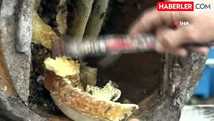 Karakovan Balı Hasadı Tamamlandı, Kilogram Fiyatı 2.500 TL