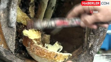 Karakovan Balı Hasadı Tamamlandı, Kilogram Fiyatı 2.500 TL