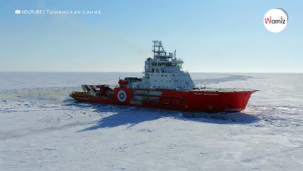 Marineros ven algo raro en mitad del hielo Ártico: deciden subirlo a bordo (Vídeo)