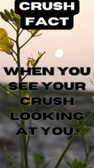 The Heart-Pounding Moment When Your Crush Notices You ❤️