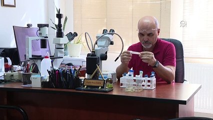 Yeni Keşfedilen Türe Murat Sezgin'in İsmi Verildi 🐾