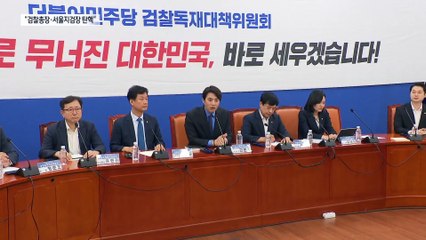 민주당 “검찰총장·서울중앙지검장 탄핵 추진”