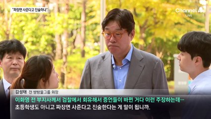 김성태 “짜장면 사준다고 진술? 초등학생도 아니고”