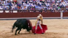 VIDEO FINAL TEMPORADA BORJA ok