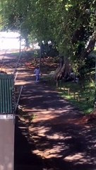 Park Lovers' Intimate Moments 🌳