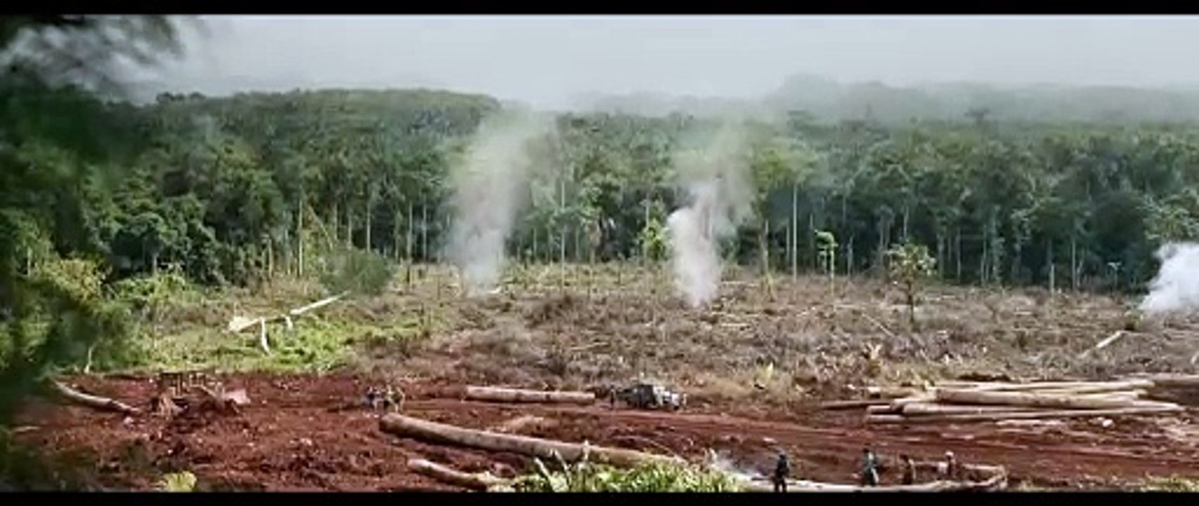El oro verde - Tráiler