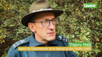 Saint-Hubert, Thierry Petit: "la chasse silencieuse demande du calme et de l’attention."