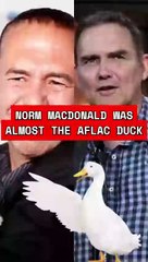 Norm Macdonald Was Almost The Aflac Duck