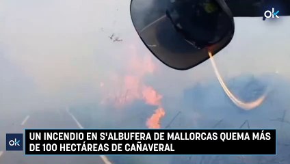 Un incendio en s'Albufera de Mallorcas quema más de 100 hectáreas de cañaveral