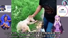 骨が変形するほど狭い場所に閉じ込められ、ゴミの中に投げ込まれた犬Dog confined to a small space that caused bone deformation, then thrown into garbage