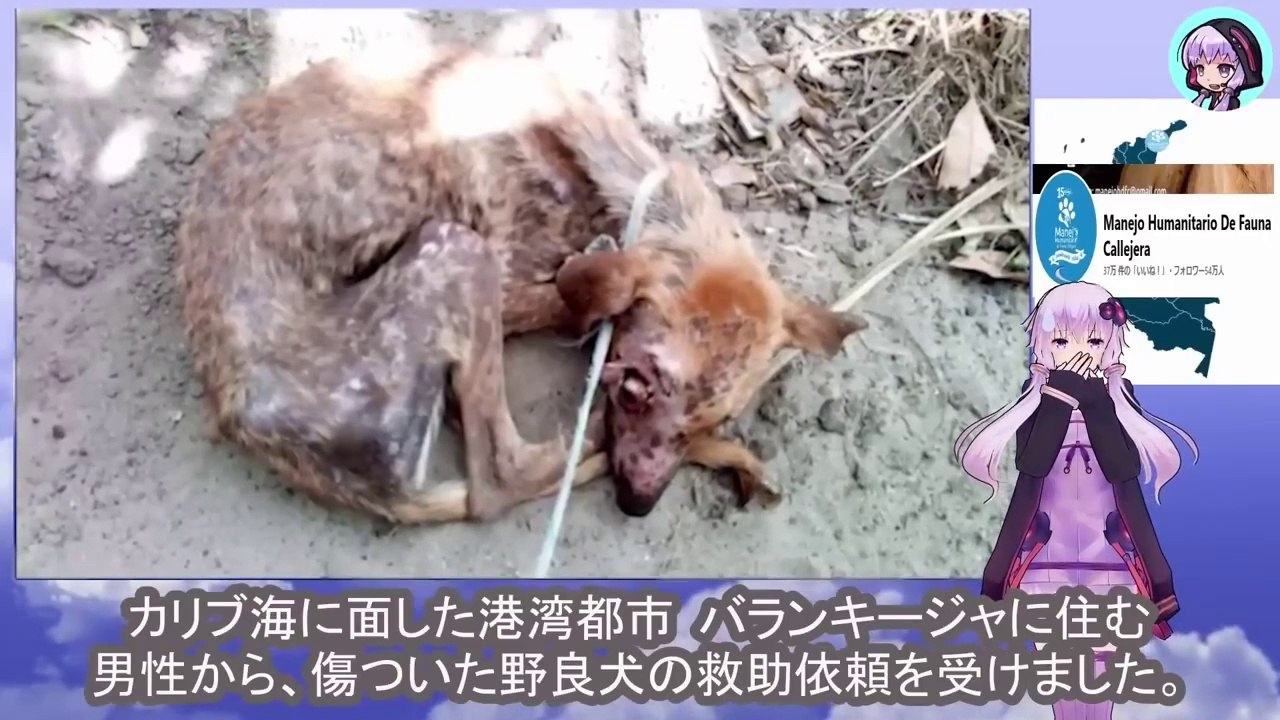 犬がどれほど酷い痛みに苦しんでも行きかう人々の誰もが彼を無視し続けましたNo matter how much pain the dog was in, everyone who passed by continued to ignore him.