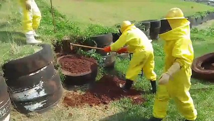 Durante vistoria, Defesa Civil retira enxame de abelhas no Autódromo