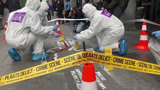 Des scènes de crime créées par Gaia à Bruxelles contre l'abattage sans étourdissement