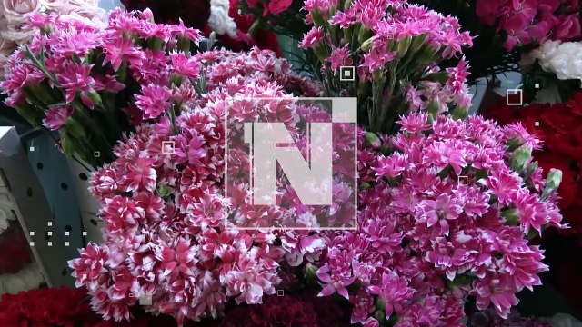 Reportan pérdidas millonarias: Sector floricultor se declara en emergencia por bloqueos