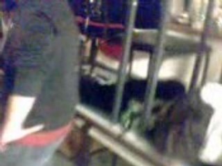 jump a laniv de loic et yléan