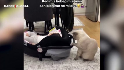 Evin bebeğini aşırı sahiplenen kedinin görüntüleri şaşırttı, “Uyutmaya çalıştı”