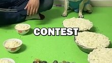 DOG AND MAN EATING CONTEST! #pets #doglover #funny #cute #dogs #dog