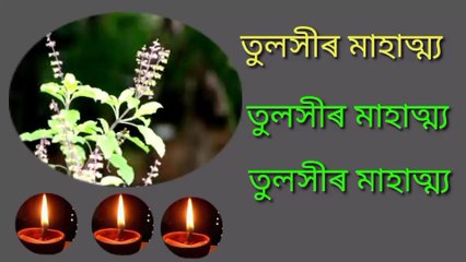Discover the Inspiring Journey of Tulasi Mahatya by Sabita Deka 🌿