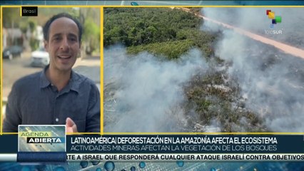 La deforestación fragmenta la Amazonía y aísla el 23% de sus bosques