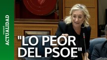 Diputada del PP explica 