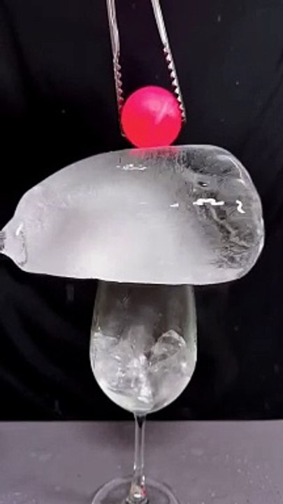 Amazing fun video