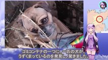 頭を打ち叩かれ動けなくなった犬を、飼い主はゴミの中に捨てましたThe dog was hit in the head and unable to move, so the owner dumped it in the trash