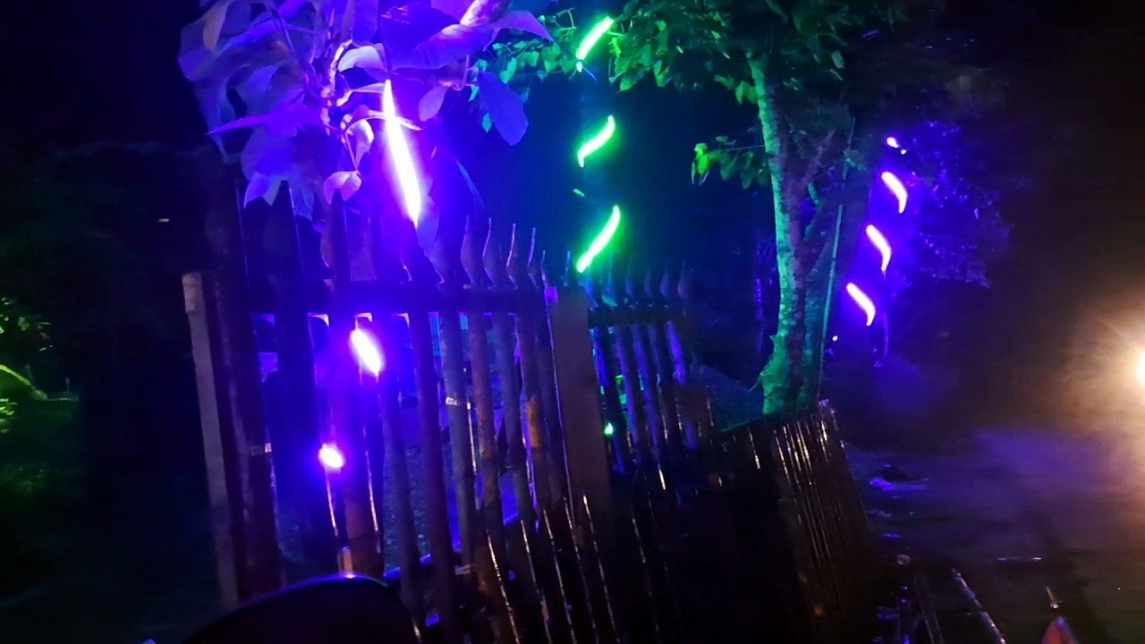 Lighting video