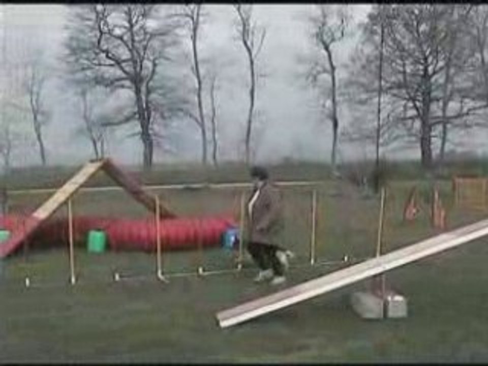 Agility-Brooks-Spok-Woofie-060408