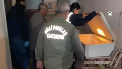 Kastamonu’da yakalanan avcıların evinde geyik eti ve bu etten yapılan sucuk ele geçirildi