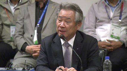 이기흥 체육회장 "IOC, 국내 상황에 의구심 가지고 주시" / YTN