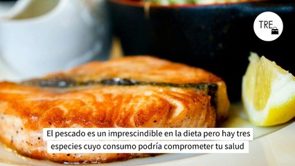 Video herunterladen: El pescado es un imprescindible en la dieta pero hay tres especies cuyo consumo podría comprometer tu salud