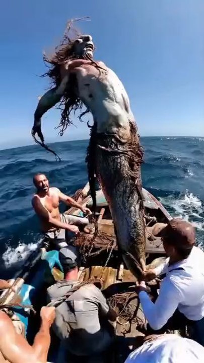 "Do You Call Them Mermaid or  Sirens Follow For More Videos Have Virelreels"...!!