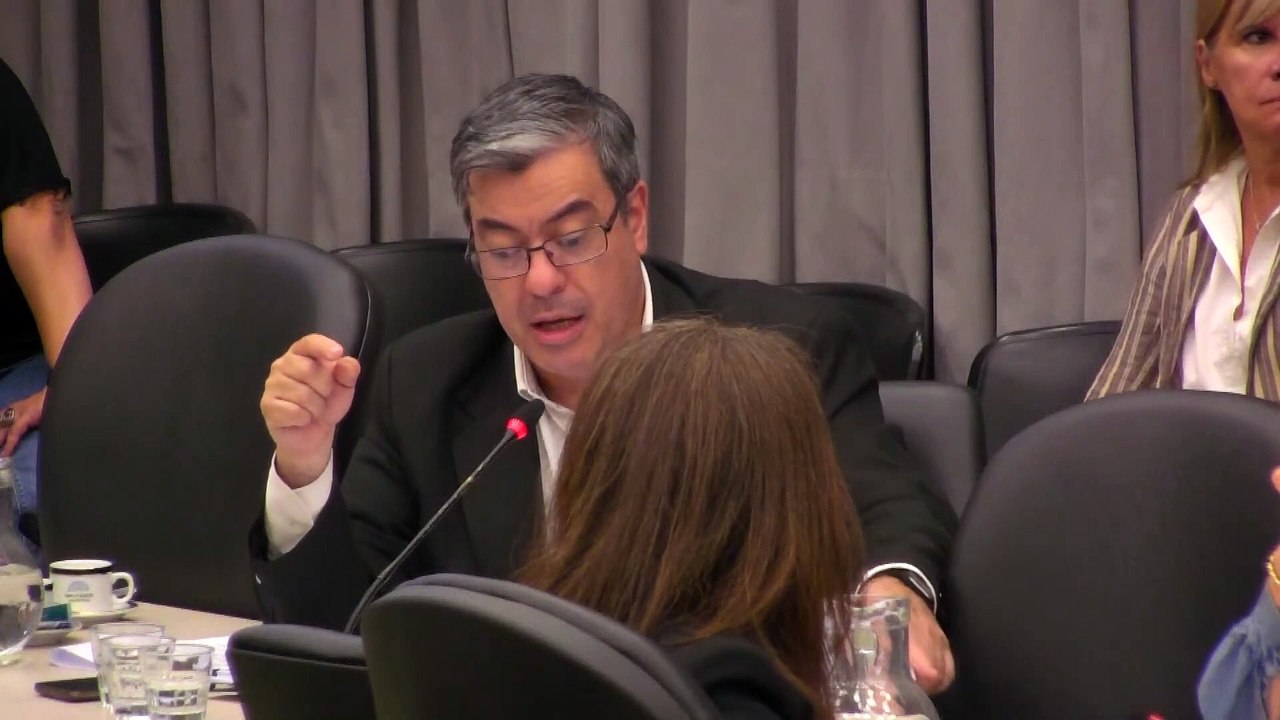 Martinez remarcó la necesidad de debatir la Ley 26.122 y el marco de los DNU