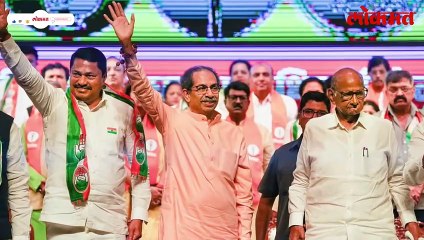 कोल्हापुर उत्तर कळीचा का ठरतोय? मविआ आणि महायुतीमध्ये बंडखोरी कशी टळणार?