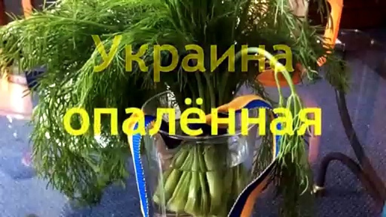 Трейлер к документальному фильму Елены Васильевой "Украина опаленная войной"
