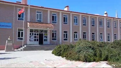 Alparslan İlkokulu’nda ağaç katliamı!