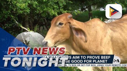 Columbian ranchers aim to prove beef production can be good for planet