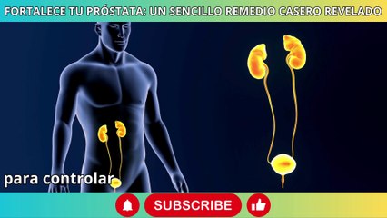 Una próstata saludable y erecciones fuertes