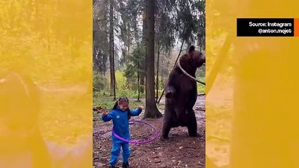 Vaikuttava video näyttää jättimäisen karhun ja pikkutytön leikkimässä hulavanteella