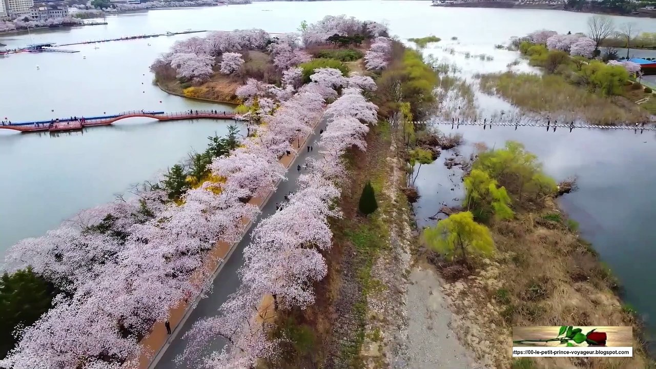 Takko 8k drone vidéo