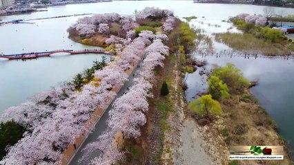 Takko 8k drone vidéo