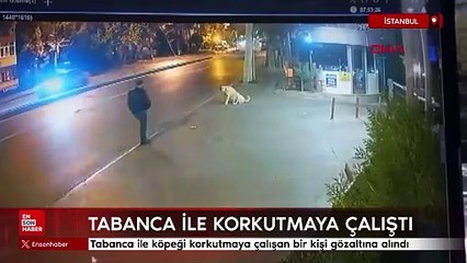 İstanbul'da tabanca ile köpeği korkutmaya çalışan bir kişi gözaltına alındı