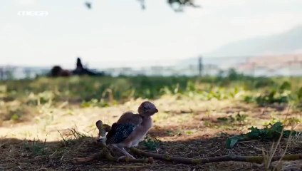 Ταμπού- Επεισόδιο 11