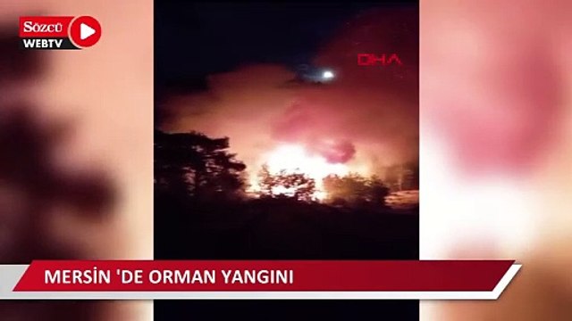 Mersin 'de orman yangını